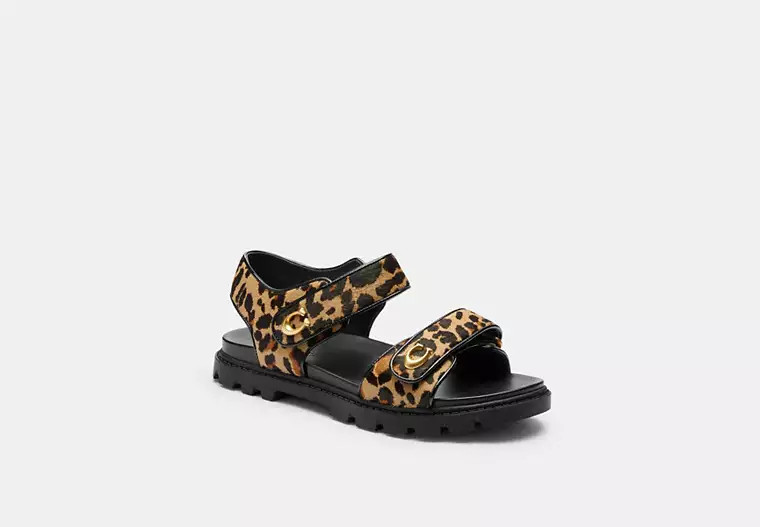 Brynn Sandal With Leopard Print | Coach (US)