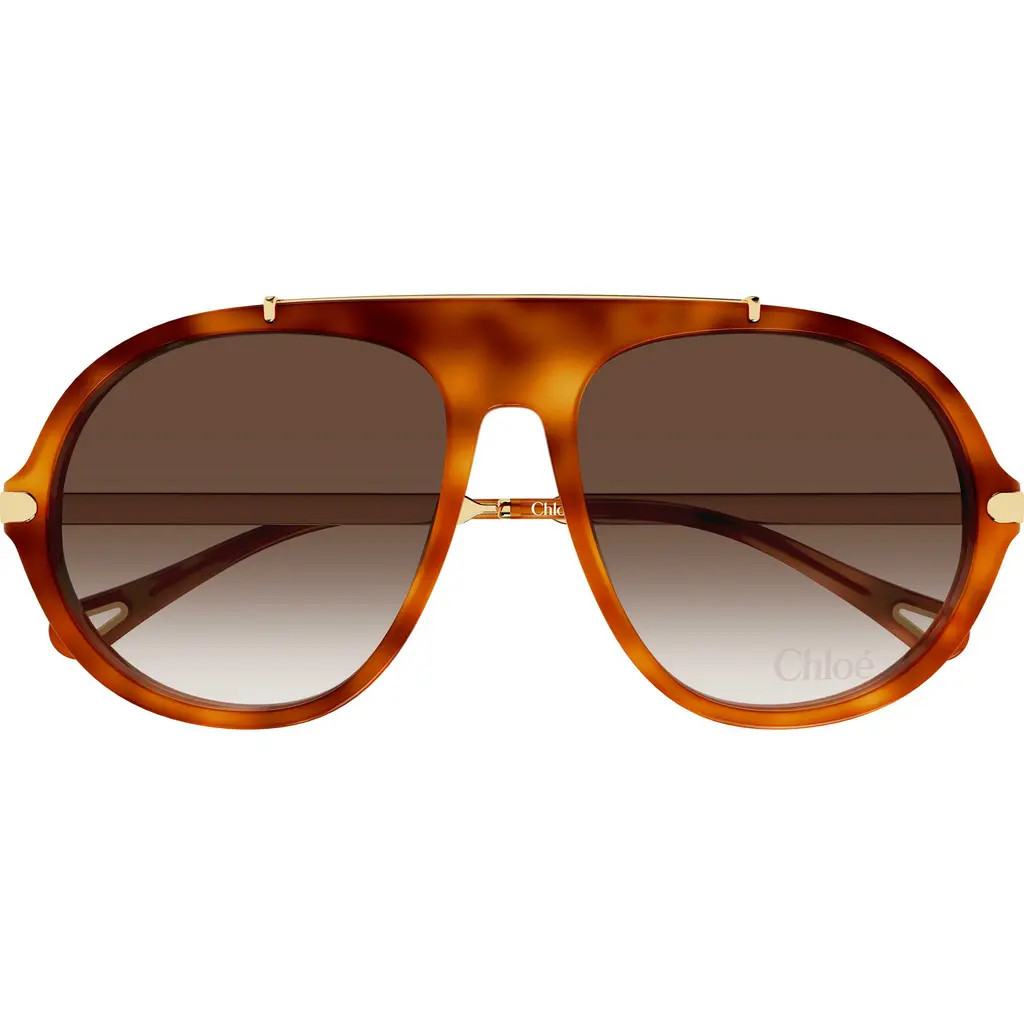 Chloé 58mm Gradient Round Sunglasses in Havana at Nordstrom | Nordstrom