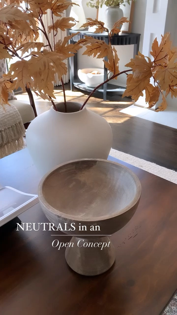 Perfect pieces for a neutral palette. 

Area rug, jute rug, pottery barn decor, west elm vase, McGee and co cabinet, Target decor



#LTKhome #LTKunder100 #LTKstyletip