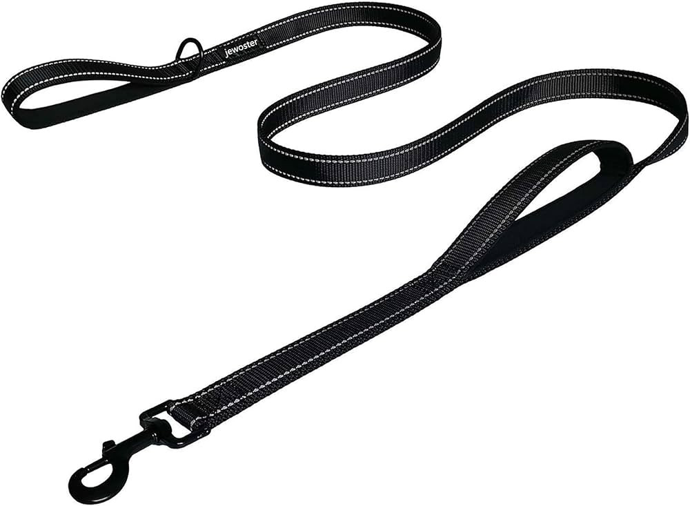Heavy Duty Dog Leash - 2 Handles by Padded Traffic Handle for Extra Control, 6foot Long - Perfect... | Amazon (US)