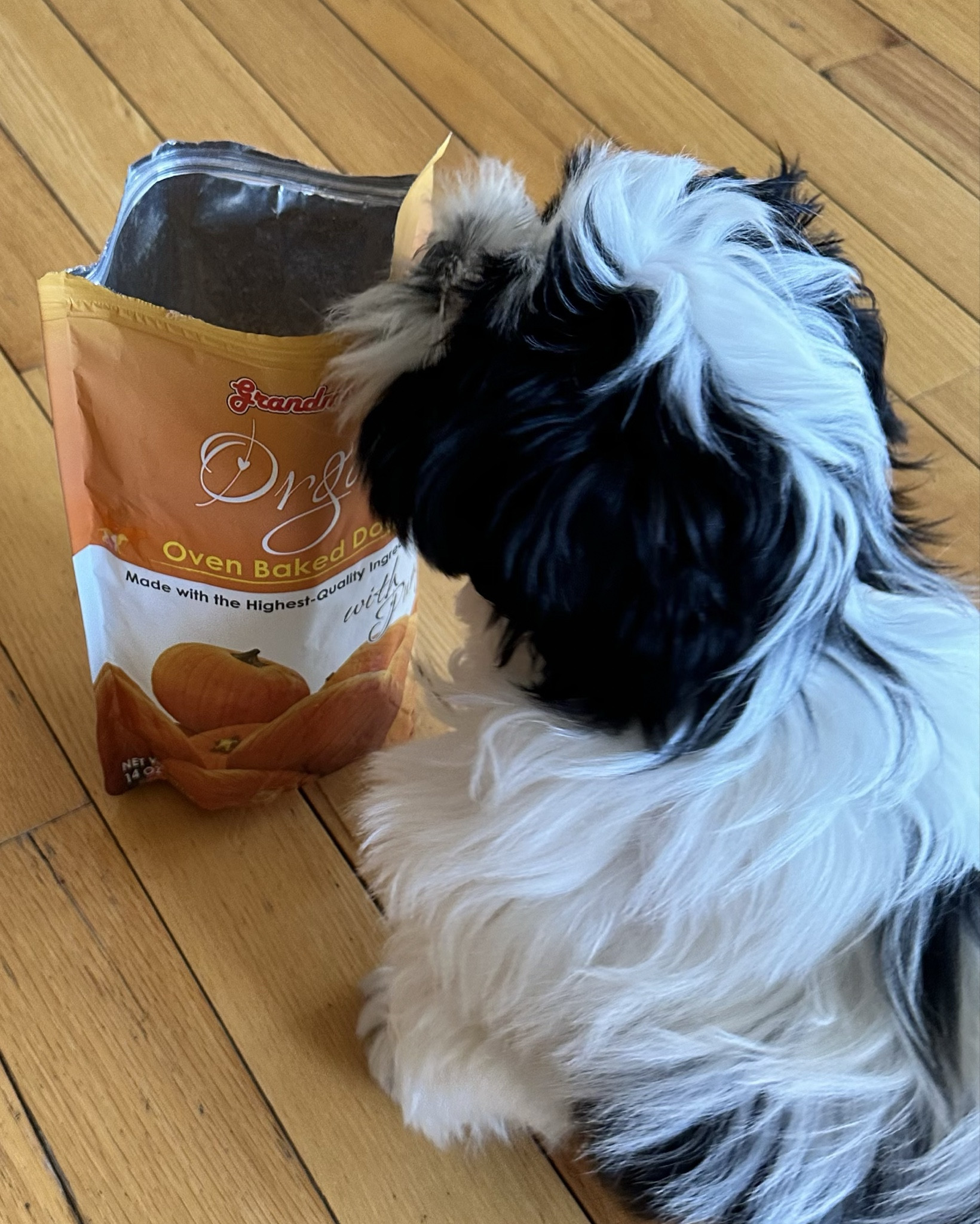 My little cutie pie is loving these new oven baked all natural treats from Grandma Lucy’s! 

Sponsored Item 

#LTKfamily