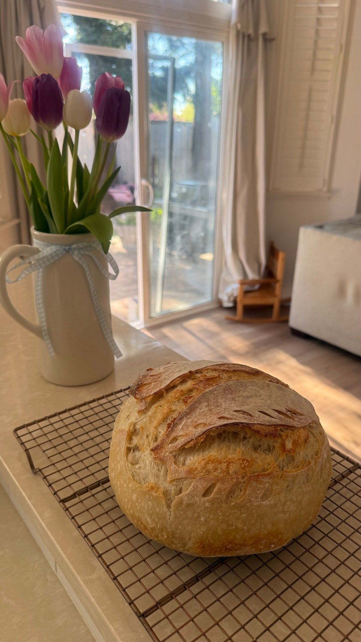 Everything you need to start making sourdough 🍞

#LTKmomlife #LTKfoodie #LTKdayinmylife