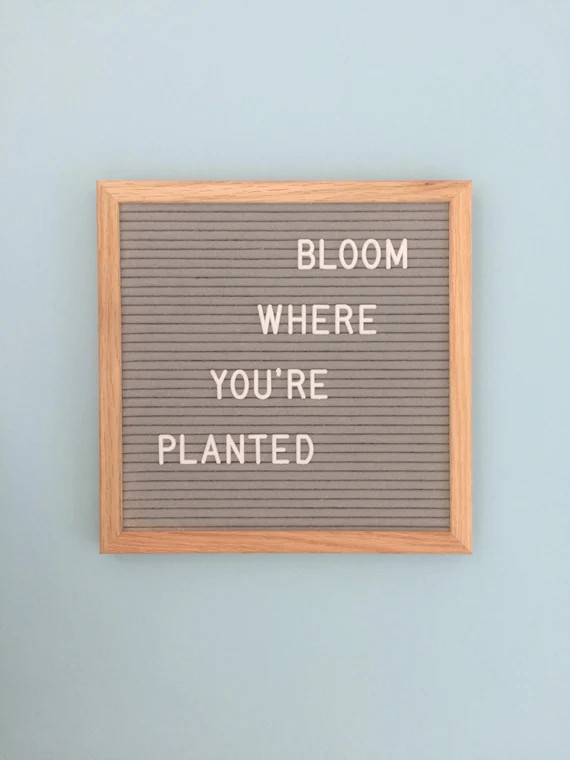 Letter Boards, 12 X 12 Inch Letter board in Grey or White,  Instagram Prop, Baby Announcement, Me... | Etsy (US)