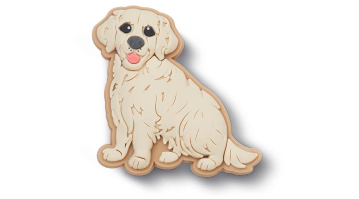 Golden Retriever Puppy | Crocs (US)