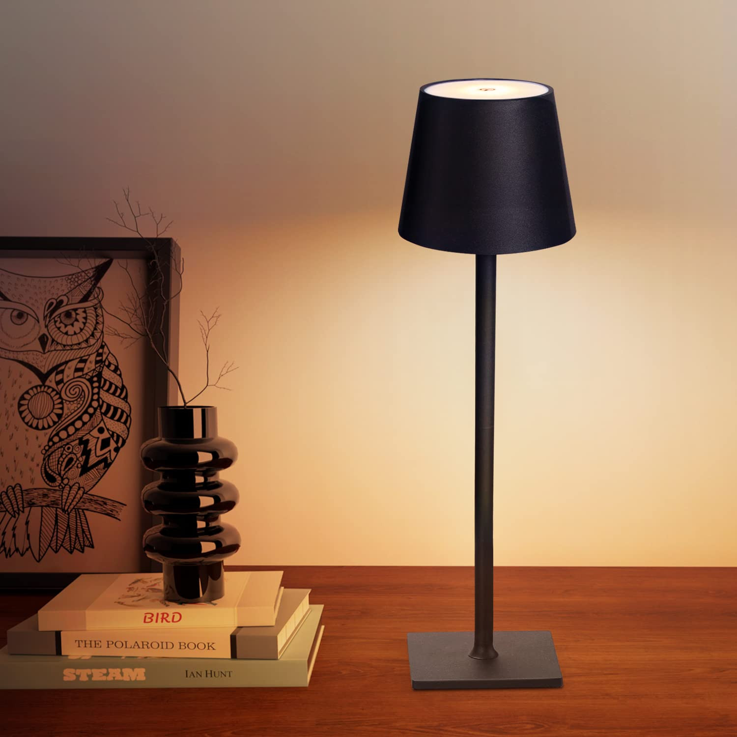 CHLORANTHUS Cordless Table Lamps, 3 Colors Stepless Dimming, 4000mAh Rechargeable Battery LED Des... | Amazon (US)
