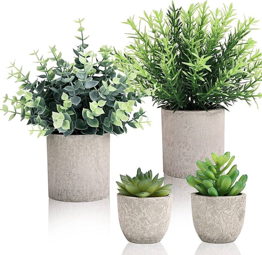 CEWOR 4 Pack Small Fake Plants Eucalyptus Rosemary Succulents Plants Artificial in Pots for Shelf... | Amazon (US)