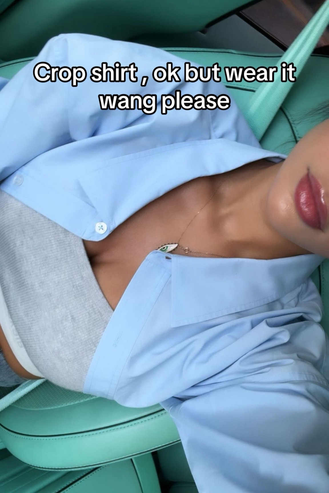 Crop shirt Alexander wang 

#LTKSeasonal #LTKU