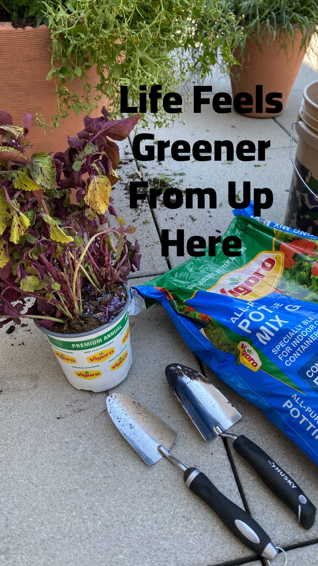 Concrete below, greenery above. 🌿✨ There’s something magical about  @homedepot helping you grow your own herbs, flowers, and vegetables with the NYC skyline as your backdrop. Every bloom is a reminder that even the busiest city has room for nature. What’s growing in your garden this season?

#LTKdayinmylife #LTKfoodie