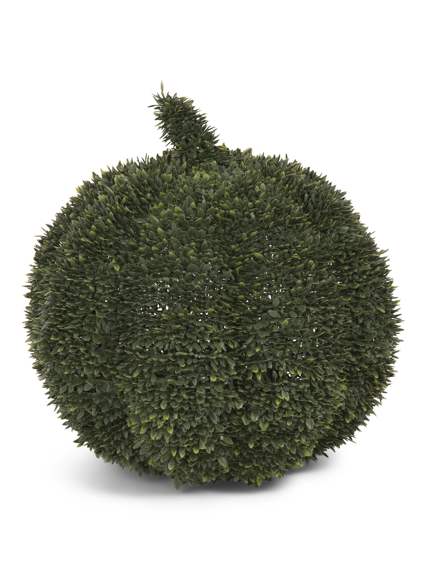 18in Boxwood Middle Pumpkin | TJ Maxx
