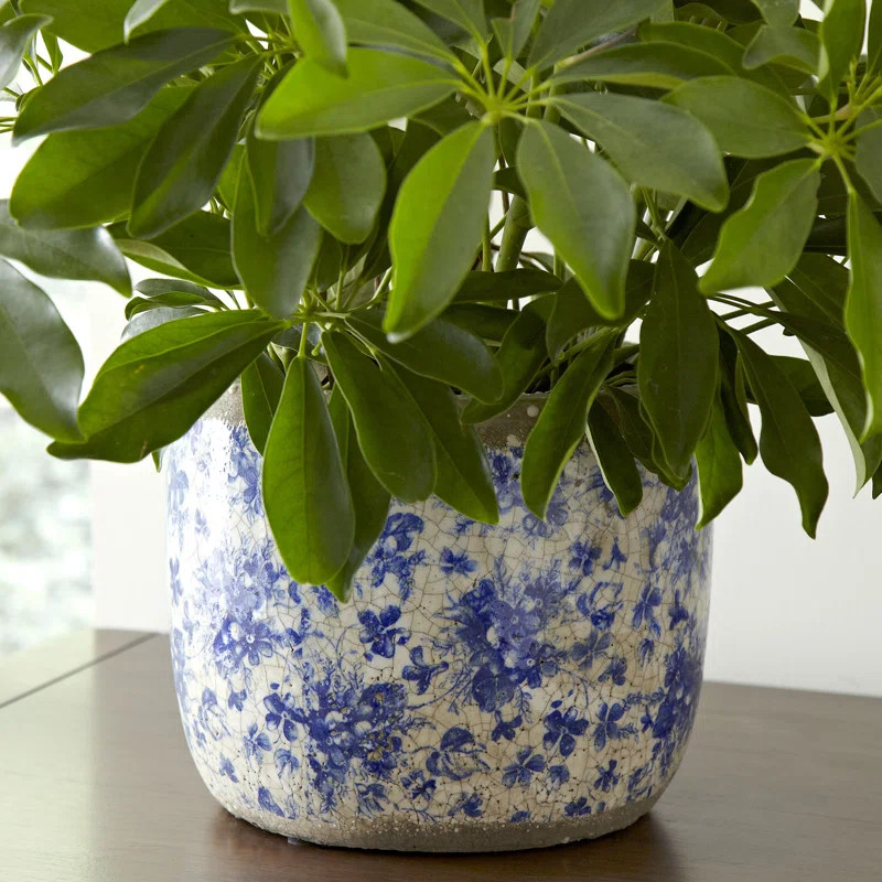 Stoneware Pot Planter | Wayfair Professional