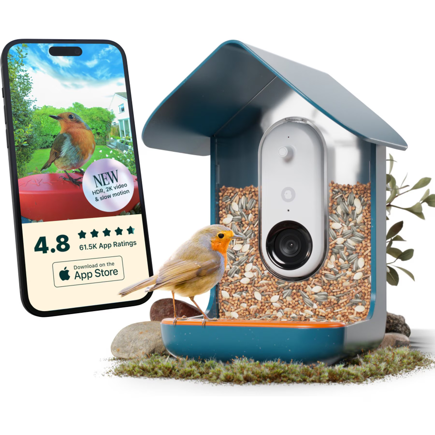 Bird Buddy Smart Wild Bird Feeder Pro | Chewy