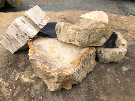 Petrified Wood Bowl | Etsy (US)