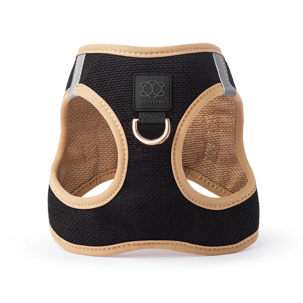SoHo Dog Harness - Crosby | DOGISTRY