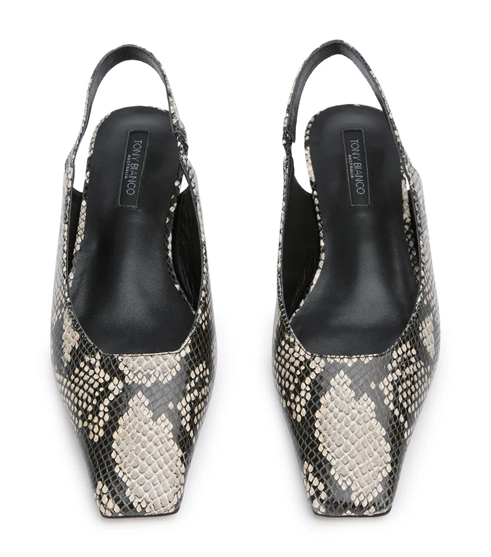 Akita Ecru Snake | Tony Bianco US