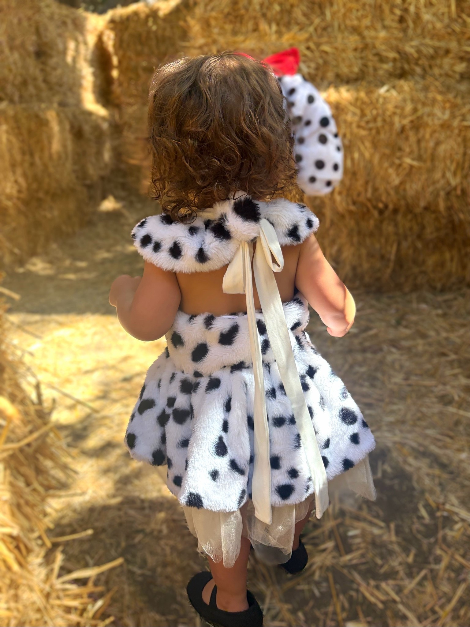 Spotted THE CUTEST little Dalmatian this weekend 😉😂🐾 Happy October 1st! 🎃

#LTKBaby #LTKKids #LTKmomlife