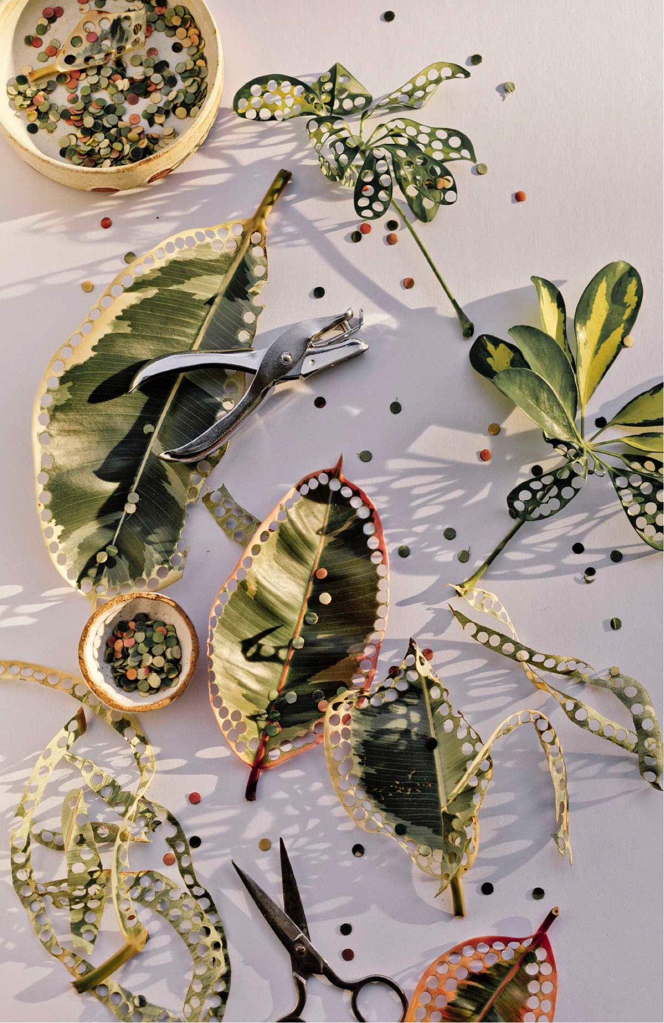 Making biodegradable confetti for parties and summer celebrations with just one supply: a hole punch. You’ll need some leaves too, but that’s it. I just grabbed them from one of my outdoor plants. DIY - craft idea - party ideas - wedding diy

#LTKfindsunder50 #LTKparties #LTKwedding