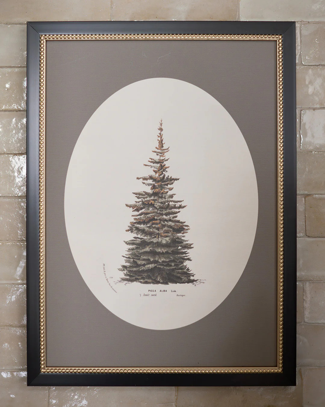 Winter Pine Framed Art | Elements by Remedy