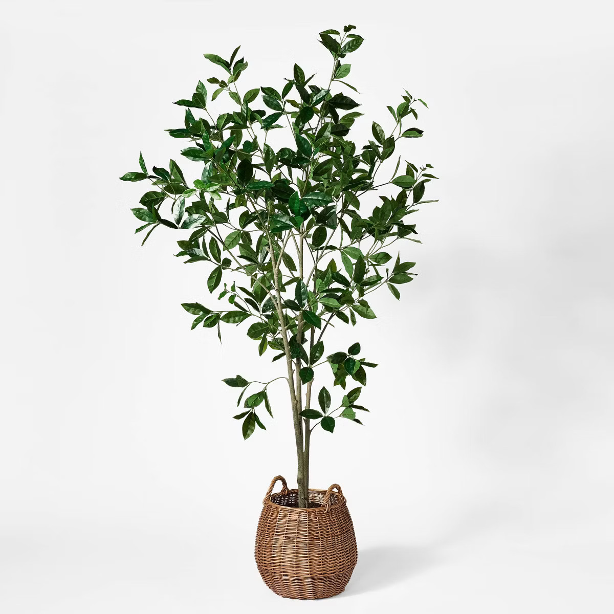 Bay Leaf Tree in Basket - Threshold™ designed with Studio McGee | Target