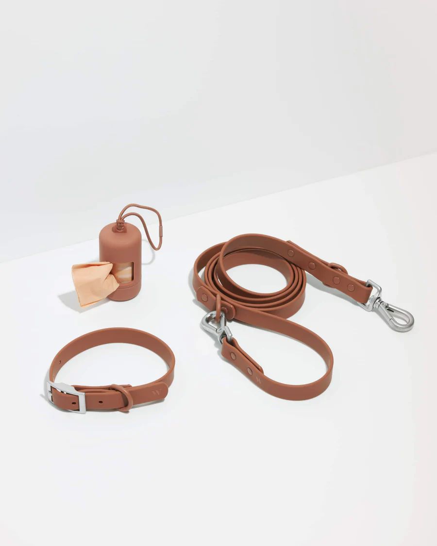 Collar Walk Kit | Dog Collar & Leash Set | Wild One | Wild One