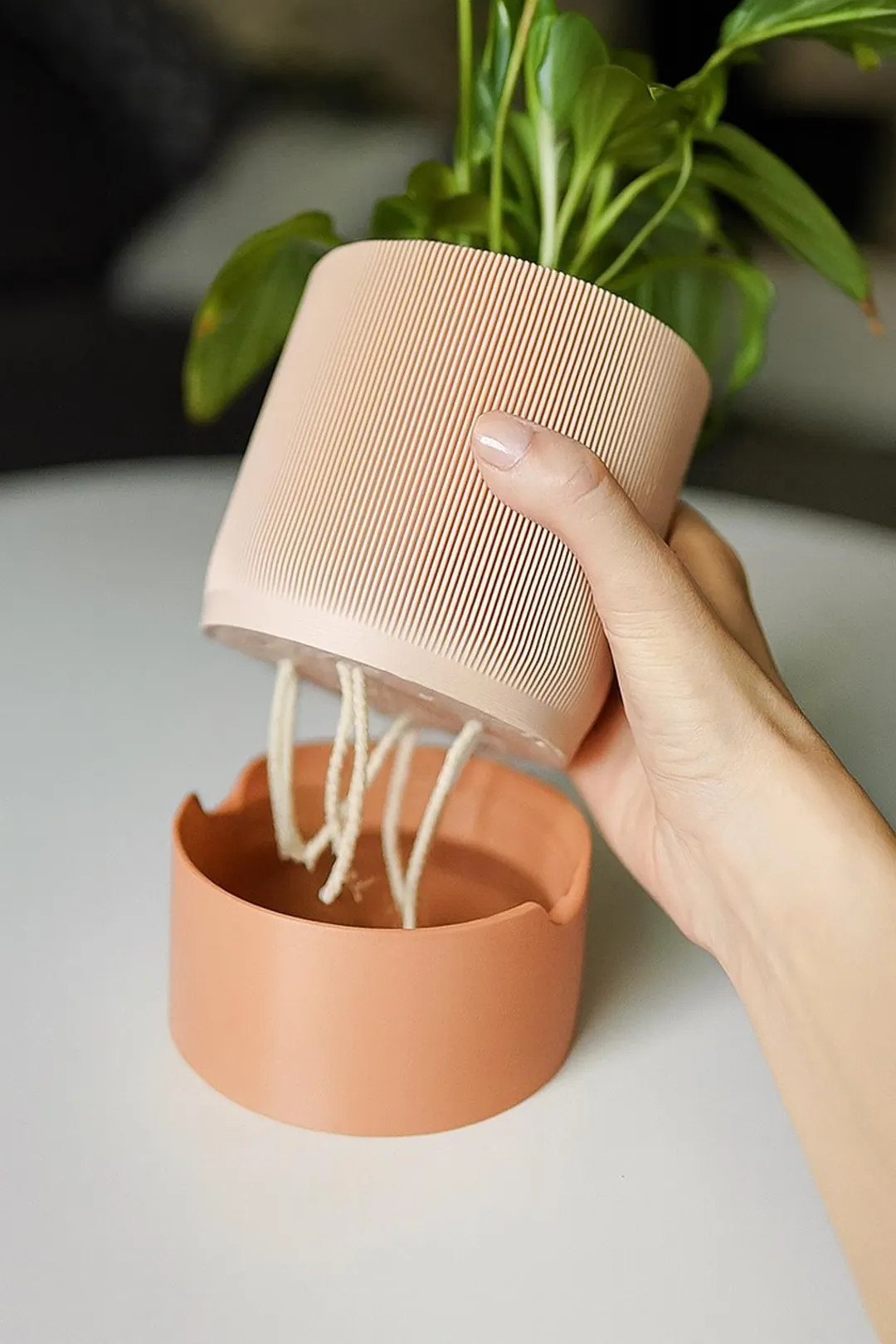 Modern "trillia" Self-watering 3D Printed Planter Pot - Etsy | Etsy (DACH)