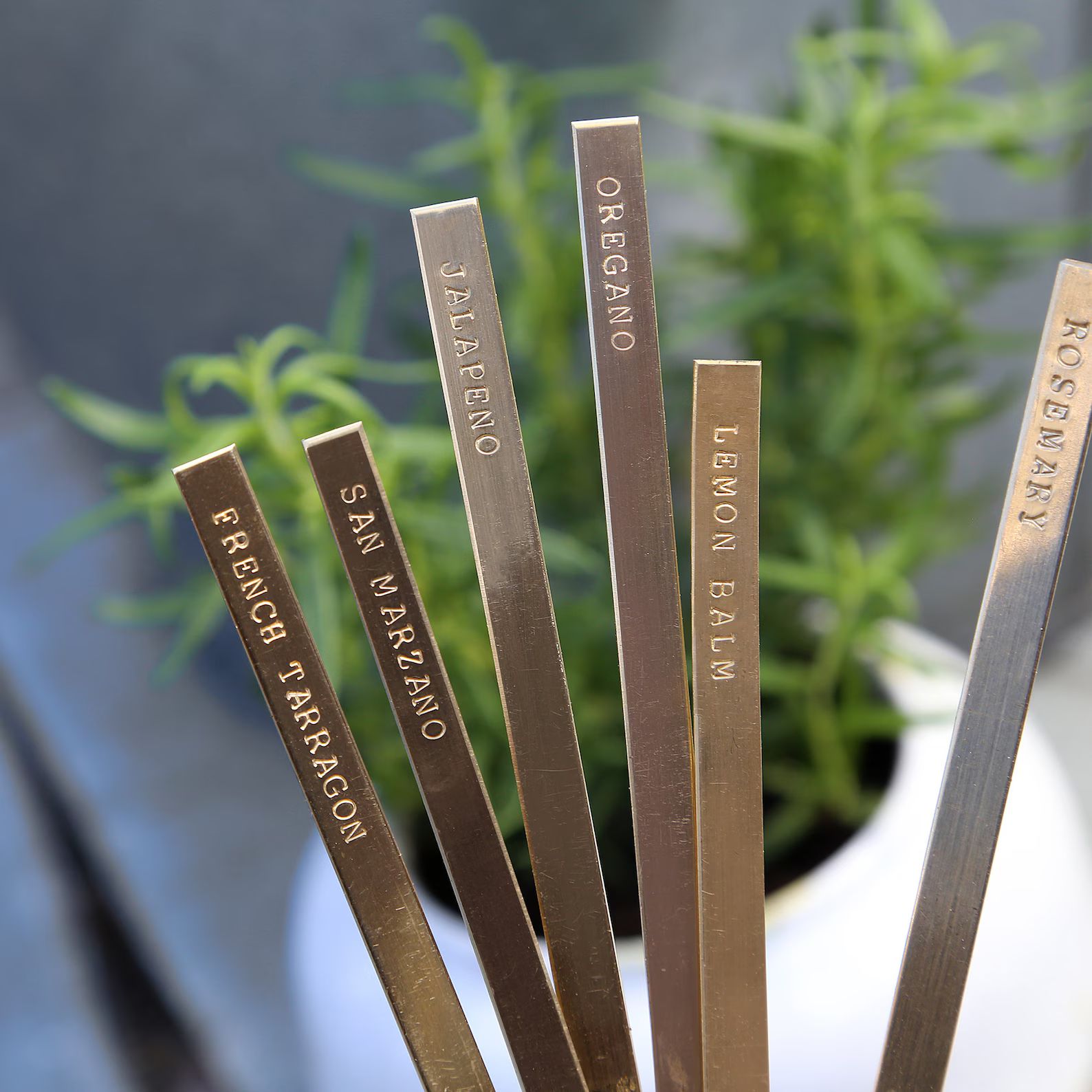 Custom Brass Plant Markers Metal Garden Labels Garden Herb Markers Outdoor Plant Signs Personaliz... | Etsy (US)