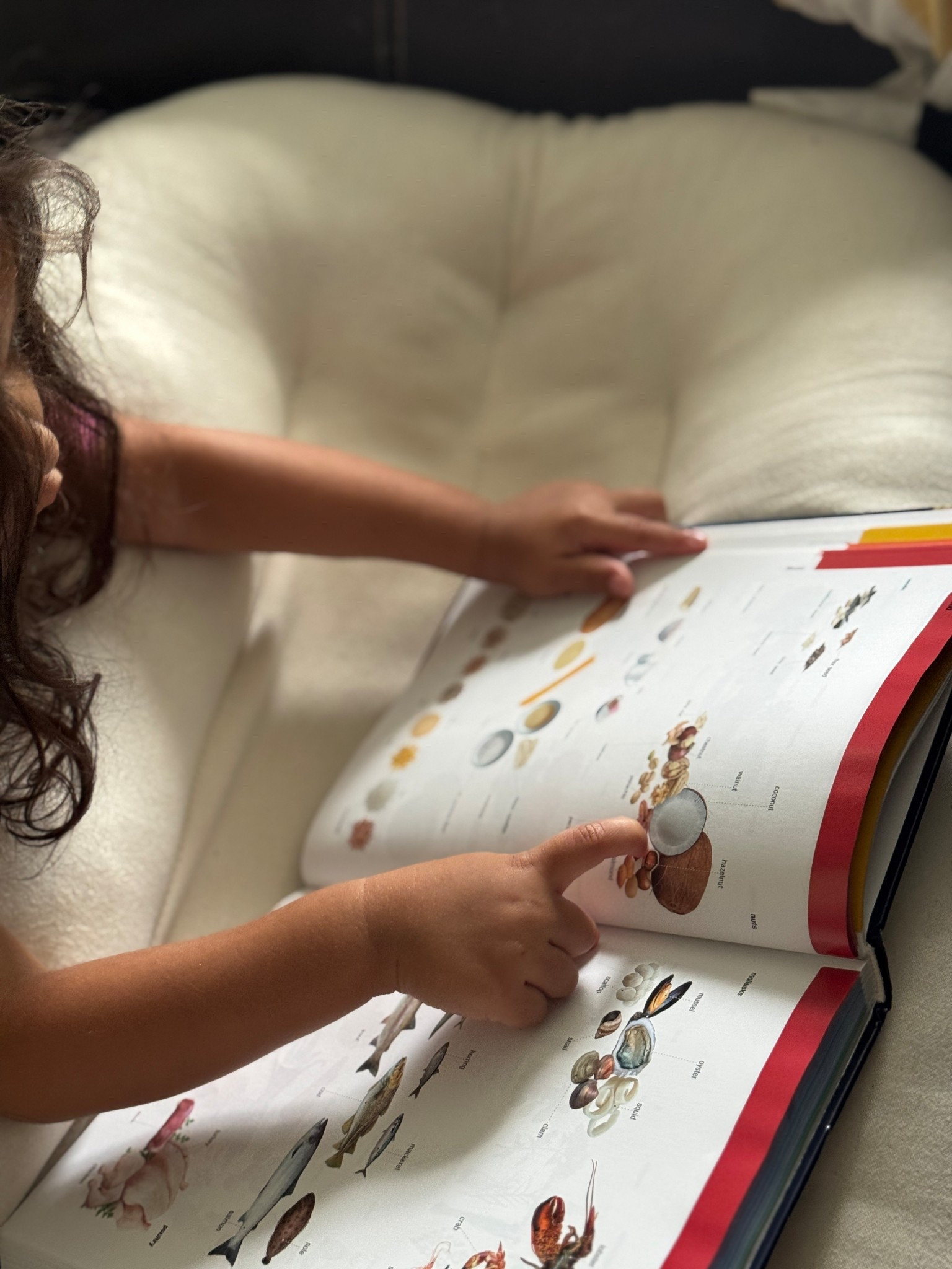 my toddler is OBSESSED with this children’s encyclopedia! i swear it’s one reason why he can speak full sentences and name so many random things at 2 years old! prime day sales may have it on sale so watch the price drop! 🩷😌

#LTKBump #LTKBaby #LTKFamily