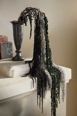 Terrain Dried Hanging Amaranth Bunch | Anthropologie (US)