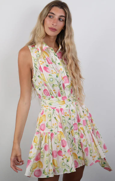 Belted Button Front Mini Dress | Mint Clothing Boutique