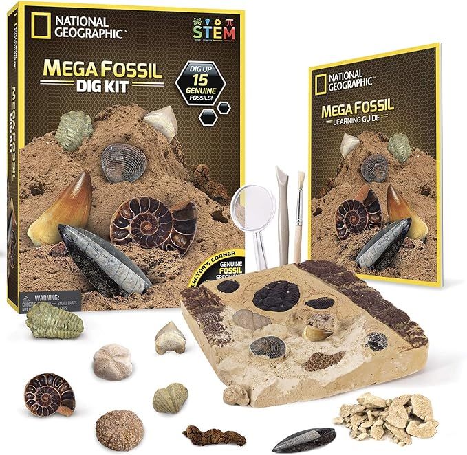 NATIONAL GEOGRAPHIC Dino Dig Kit & Dinosaur Book - Excavate a Replica Dinosaur Tooth Fossil and S... | Amazon (US)