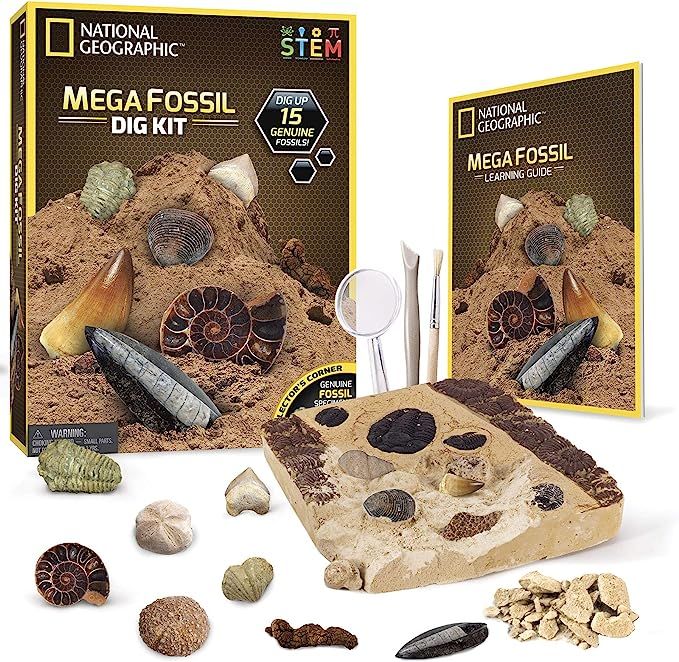 NATIONAL GEOGRAPHIC Mega Fossil Dig Kit - Excavate 15 Prehistoric Fossils Including Dinosaur Bone... | Amazon (US)