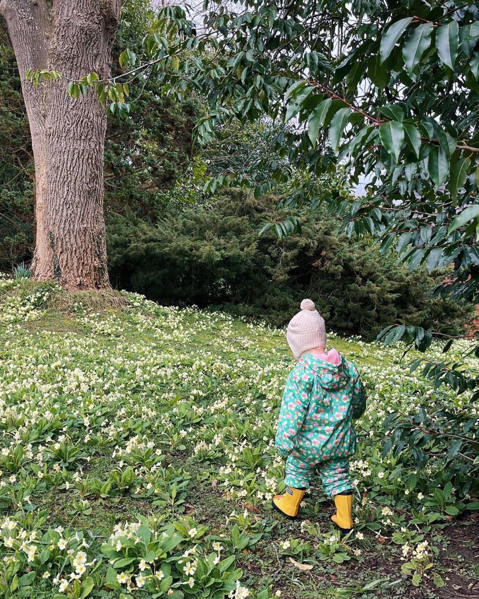 Rainy day outfit, kids raincoat, cute patterned rain jacket, baby toddler outfit ootd, kids style fashion 

#LTKfamily #LTKbaby #LTKkids