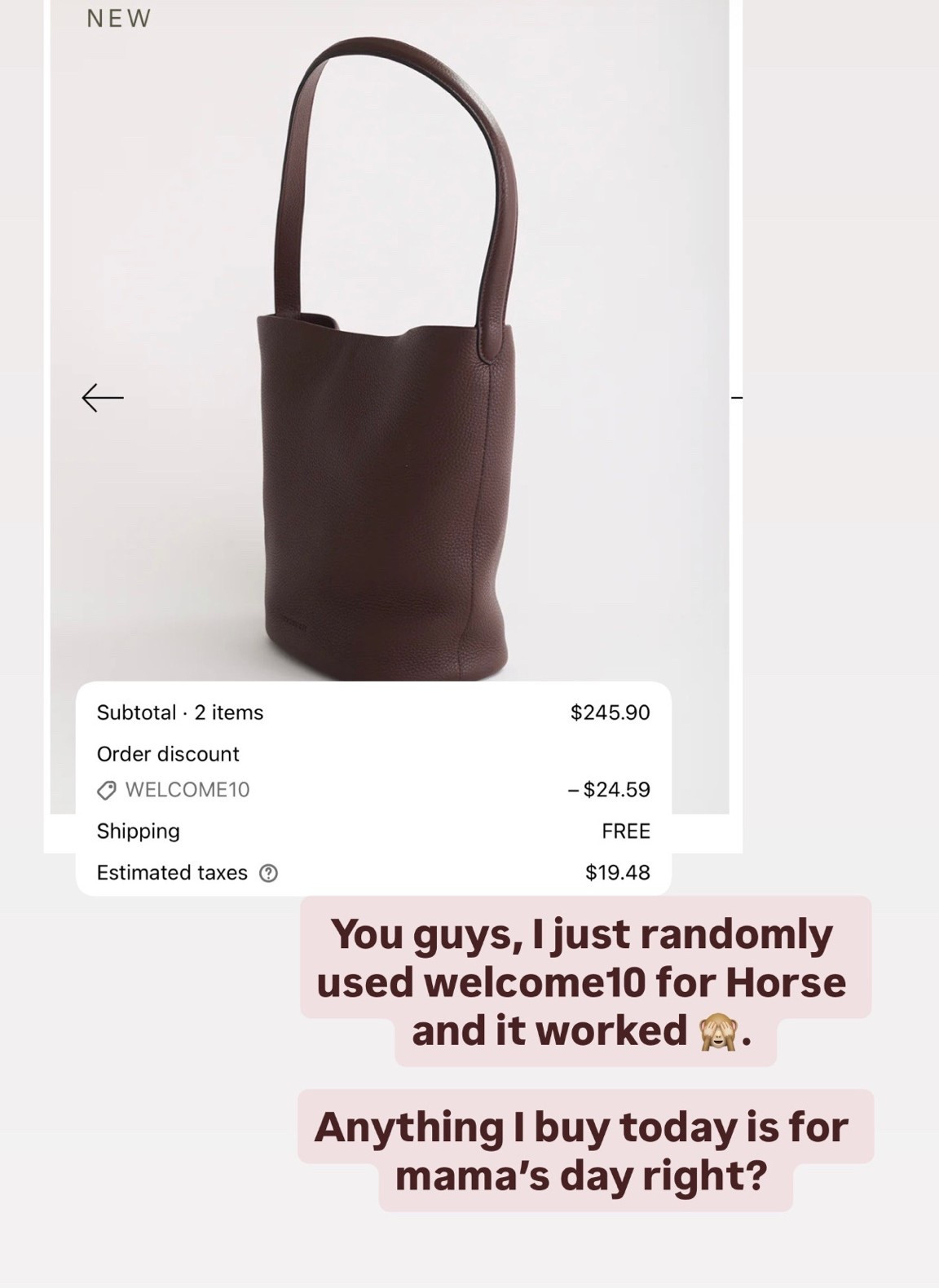 The Horse bag. Code welcome10 works for 10% off!!

#LTKcanada #LTKsale #LTKworkwear