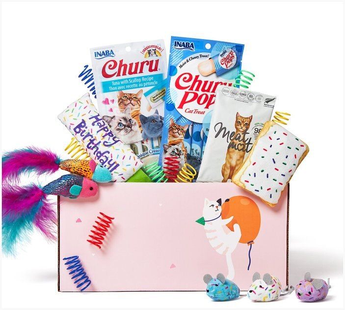 GOODY BOX Birthday Toys & Treats for Cats - Chewy.com | Chewy.com