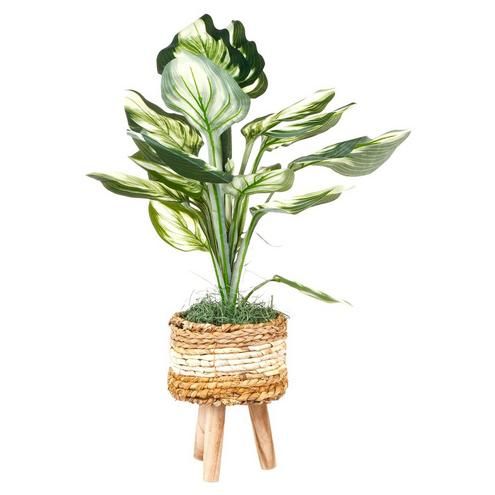 27" Faux Potted Plant in Woven Basket With Stand - Green--7794312115200   | Burkes Outlet | bealls
