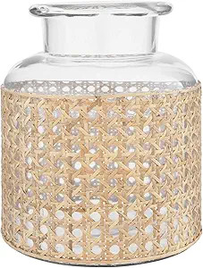 Bloomingville 8"H Glass Vase with Decorative Cane Sleeve | Amazon (US)