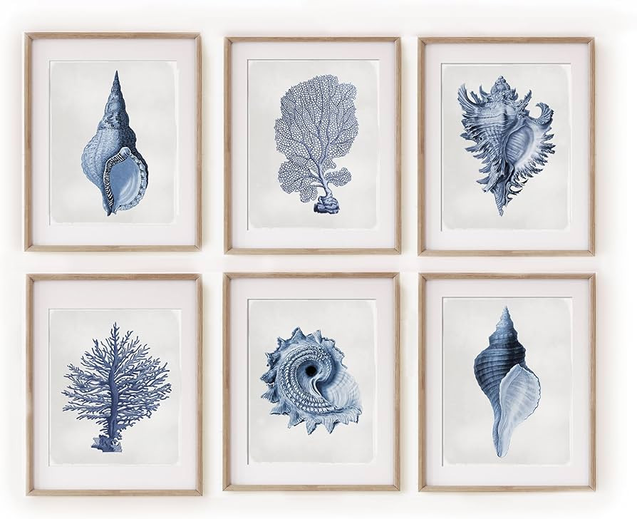 Vintage Shell Prints, Beach House Art, Coastal Art, Prints and Canvas, Coral Print, Illustration,... | Amazon (US)
