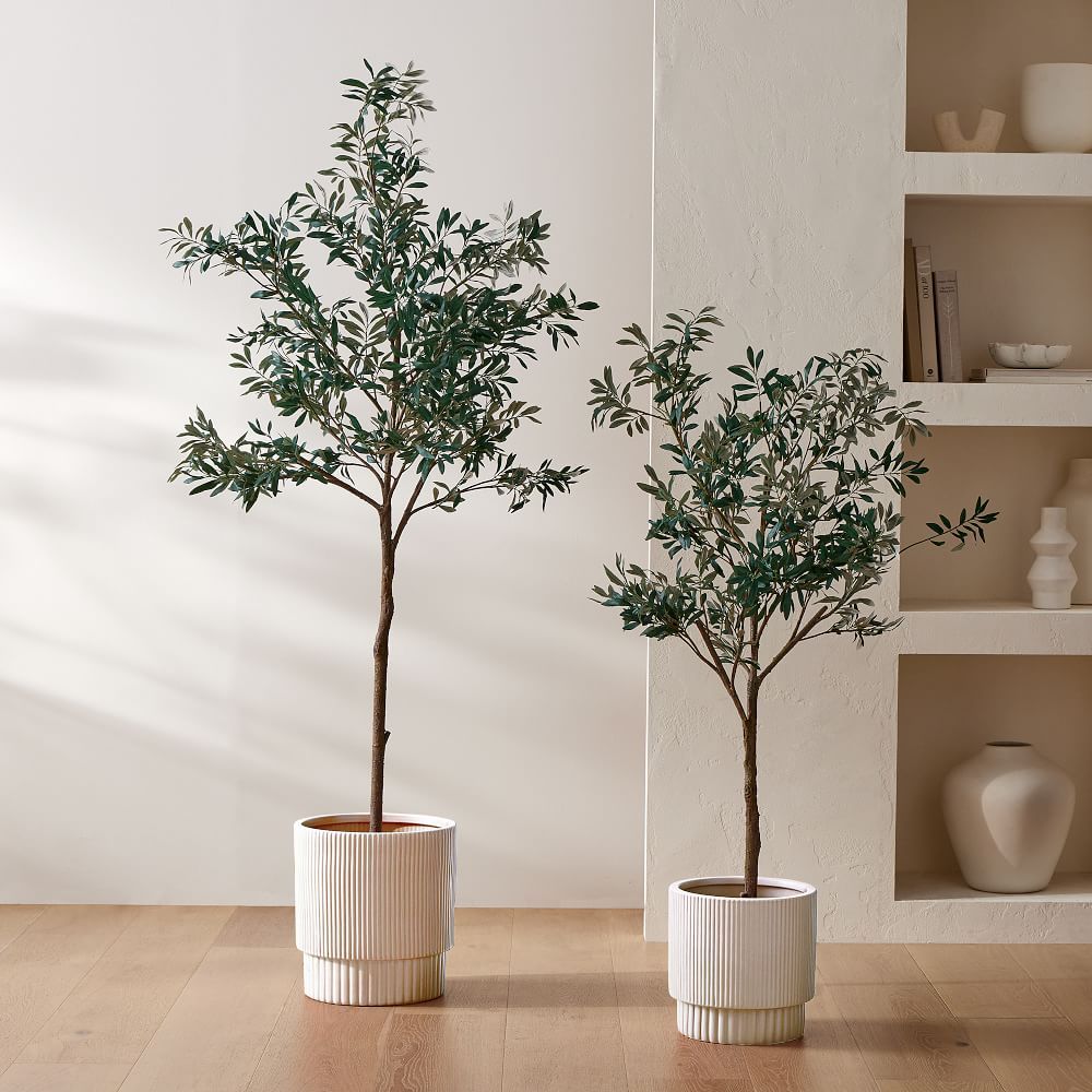 Faux Potted Olive Tree, 60'' | West Elm (US)