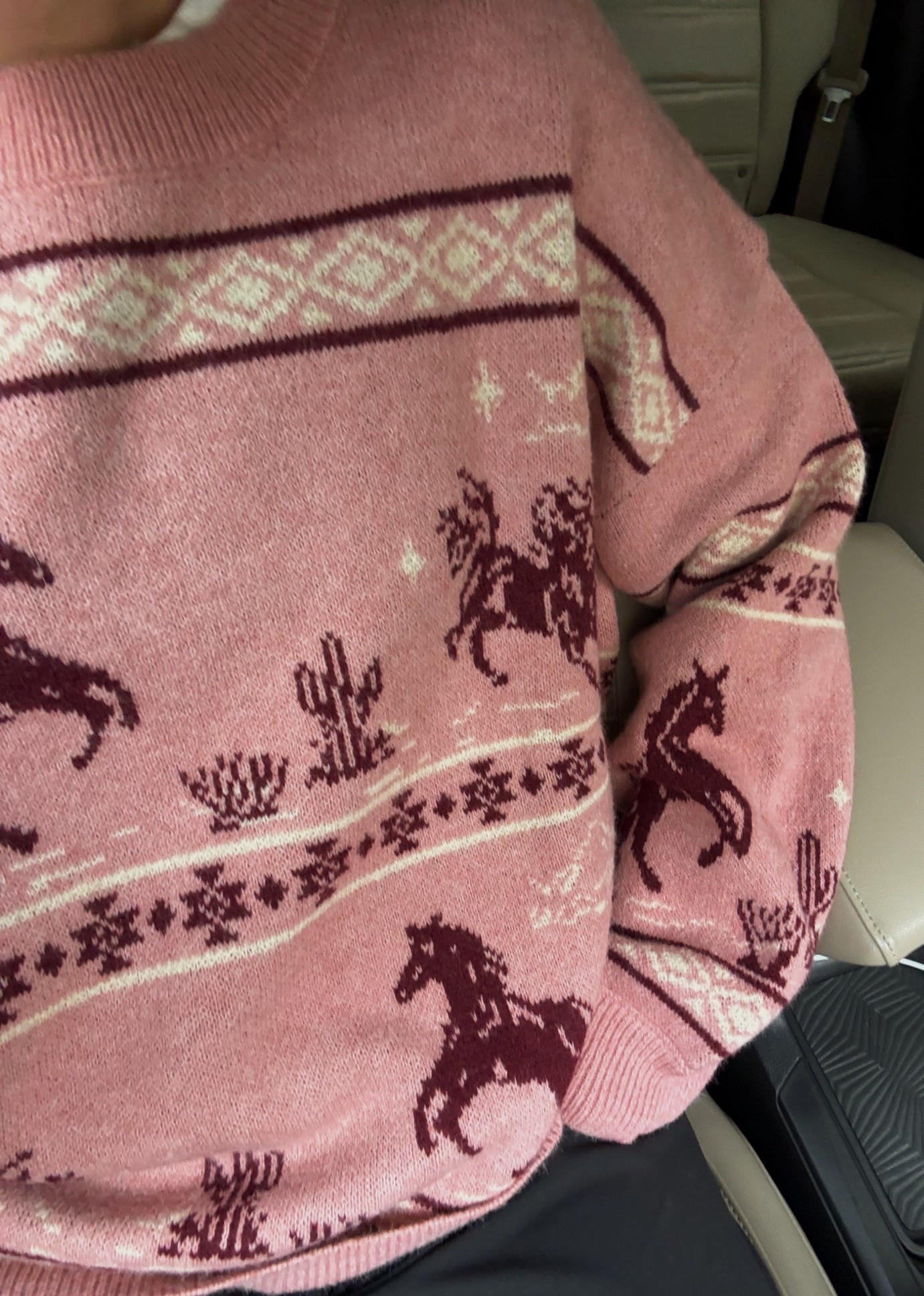 pink horse sweater 🐎🌸

#LTKFindsUnder100 #LTKGiftGuide #LTKStyleTip