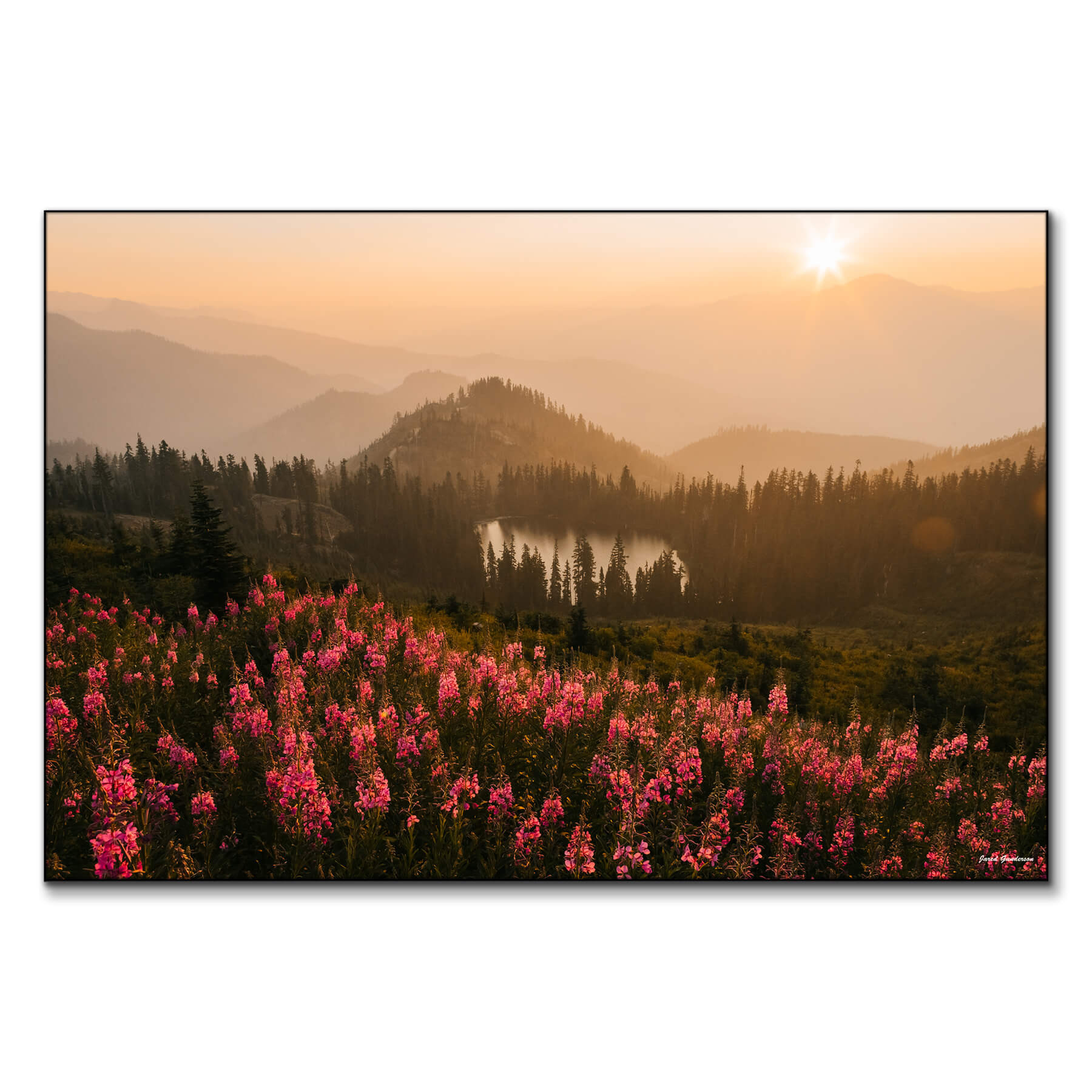 Wildflower Island | Big Wall Decor (US)
