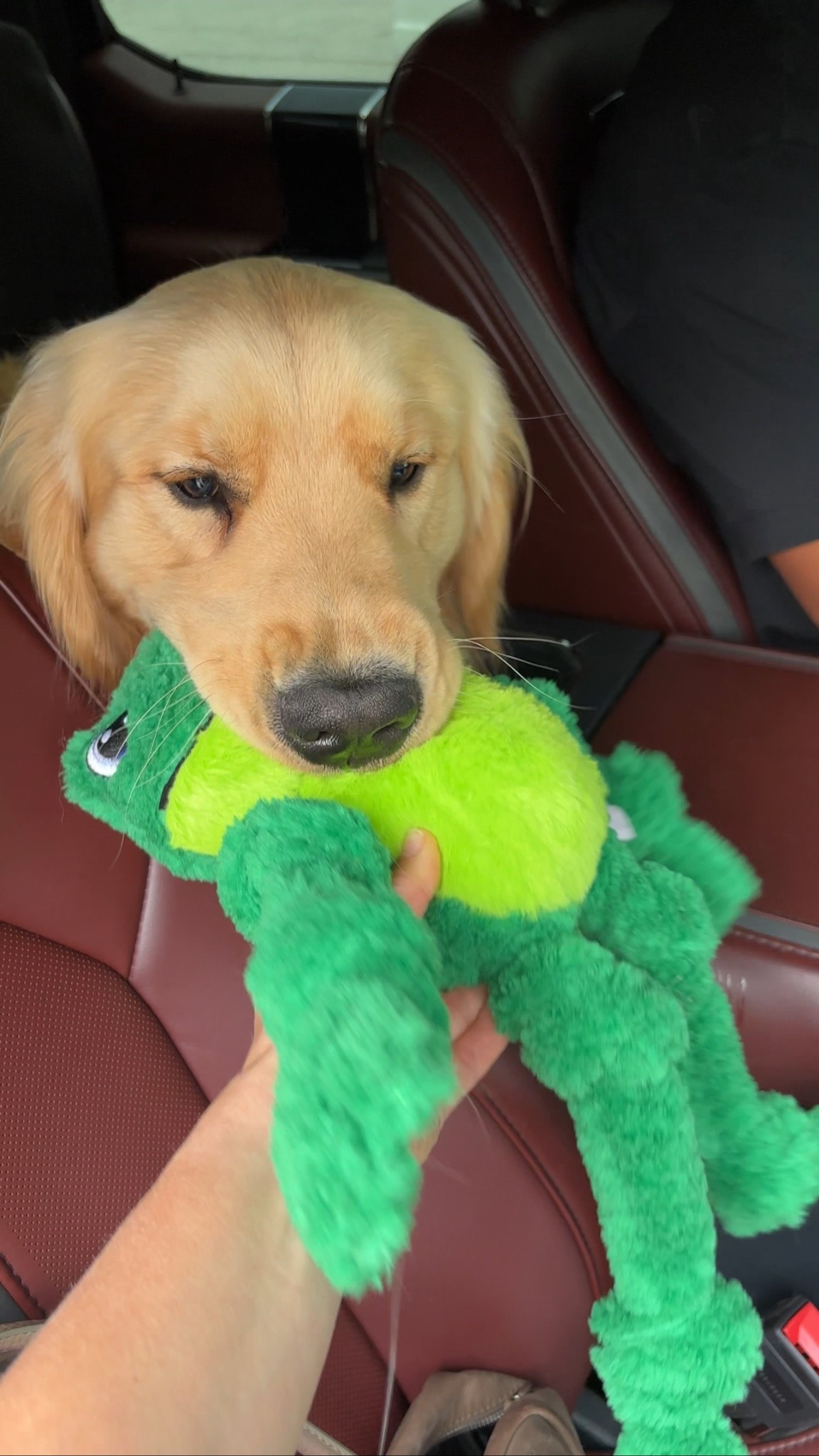 @petco #petcopartner