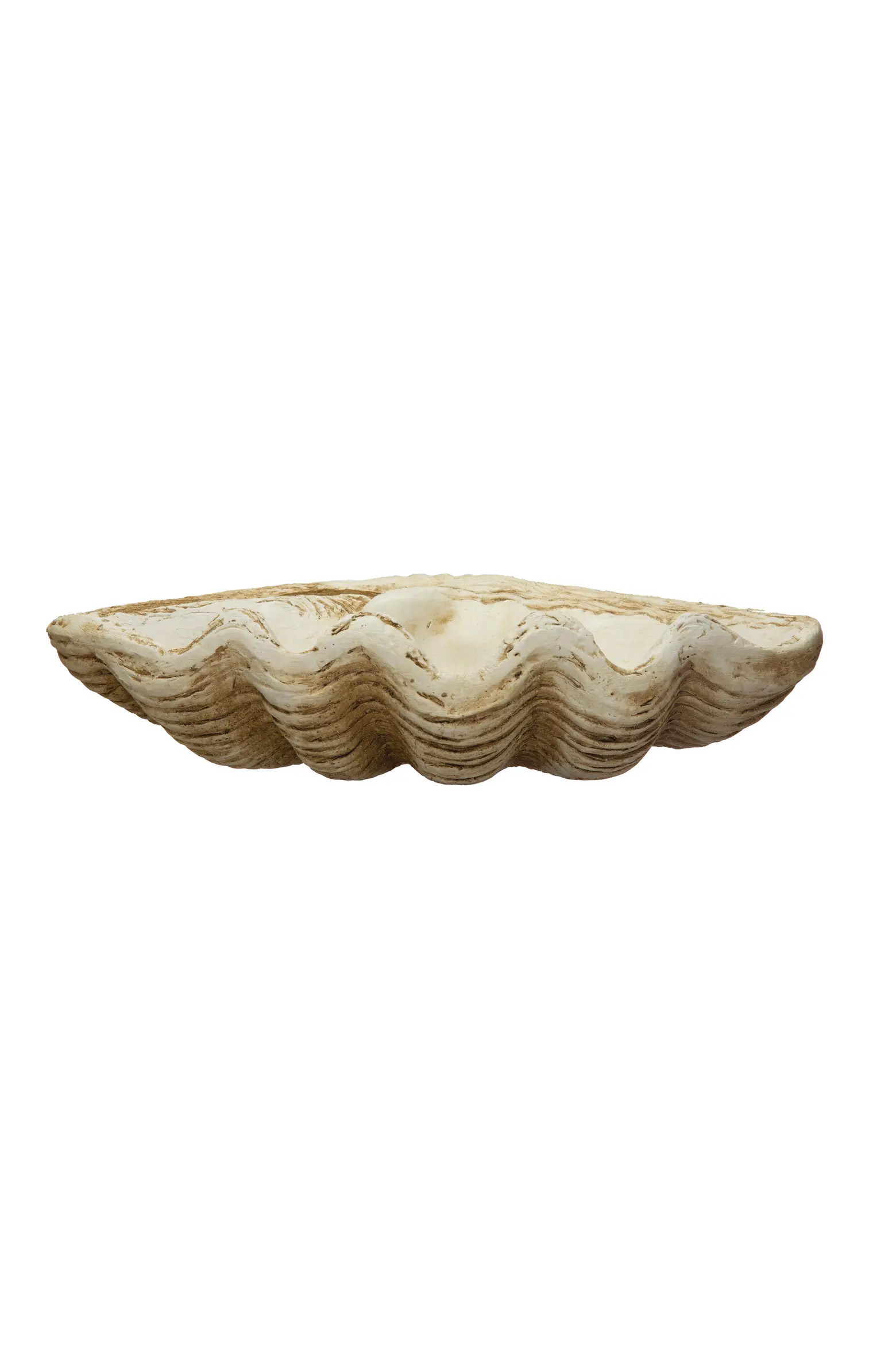 Coastal Decorative Magnesia Clamshell, Natural | Nordstrom | Nordstrom
