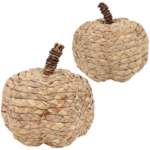 winemana 2 Pack Pumpkin Fall Decor, Woven Wicker Pumpkins for Home, Beige | Amazon (US)