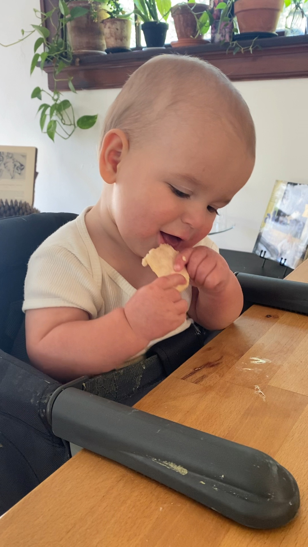 A LIFESAVER for teething babies 👌🏻 It’s a go-to especially for when I’m at the grocery store 😋

#LTKbump #LTKbaby #LTKkids