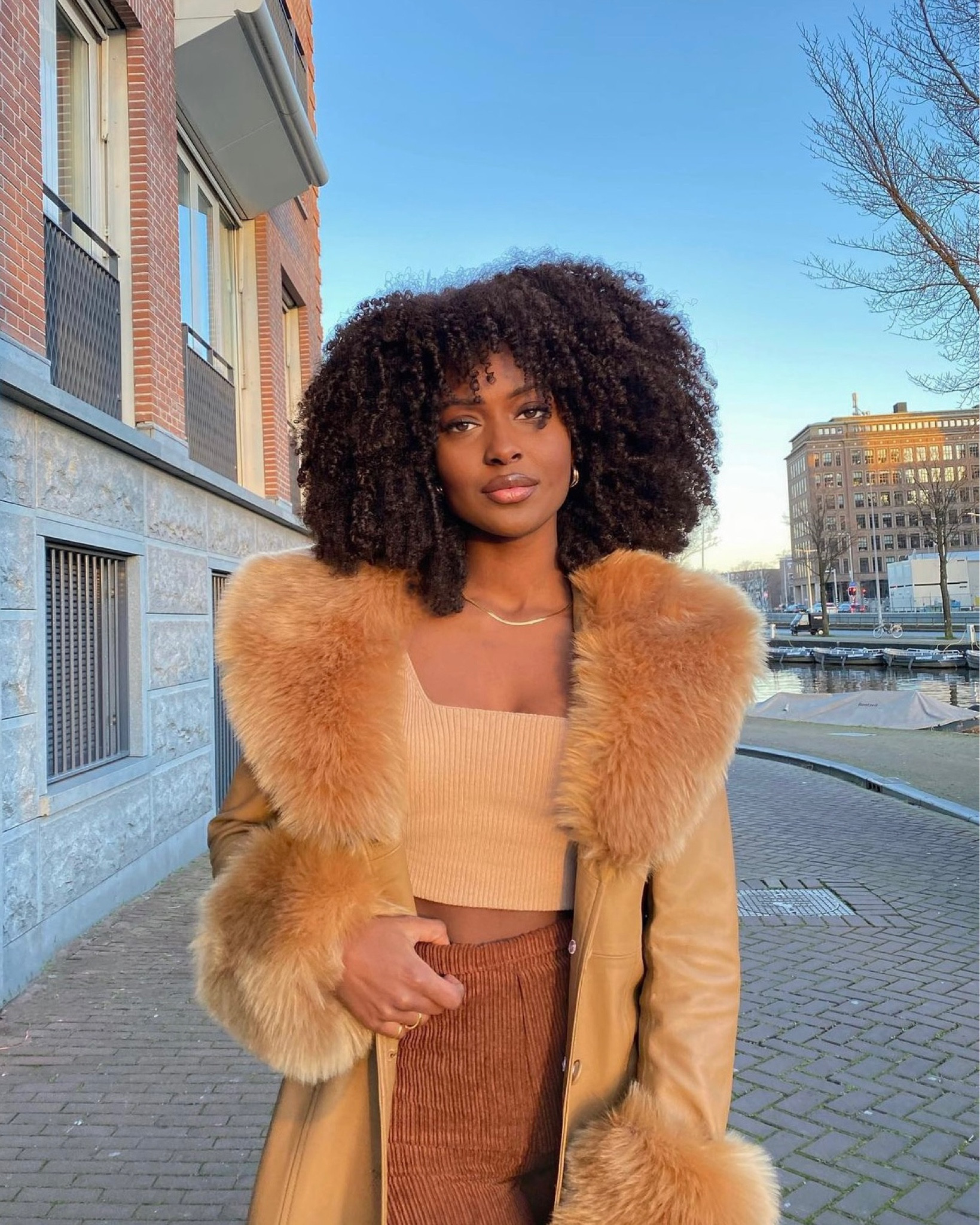 outfit inspiration, fall autumn style, earth tone brown beige leather winter coat, faux fur, shearling trim, brown rubbed top and flared trousers, FWRD, Agolde, Weekday, Acne Studios, Farfetch, Netherlands, Amsterdam curly afro hair

   

#LTKSeasonal #LTKeurope #LTKstyletip #LTKSeasonal #LTKeurope #LTKstyletip