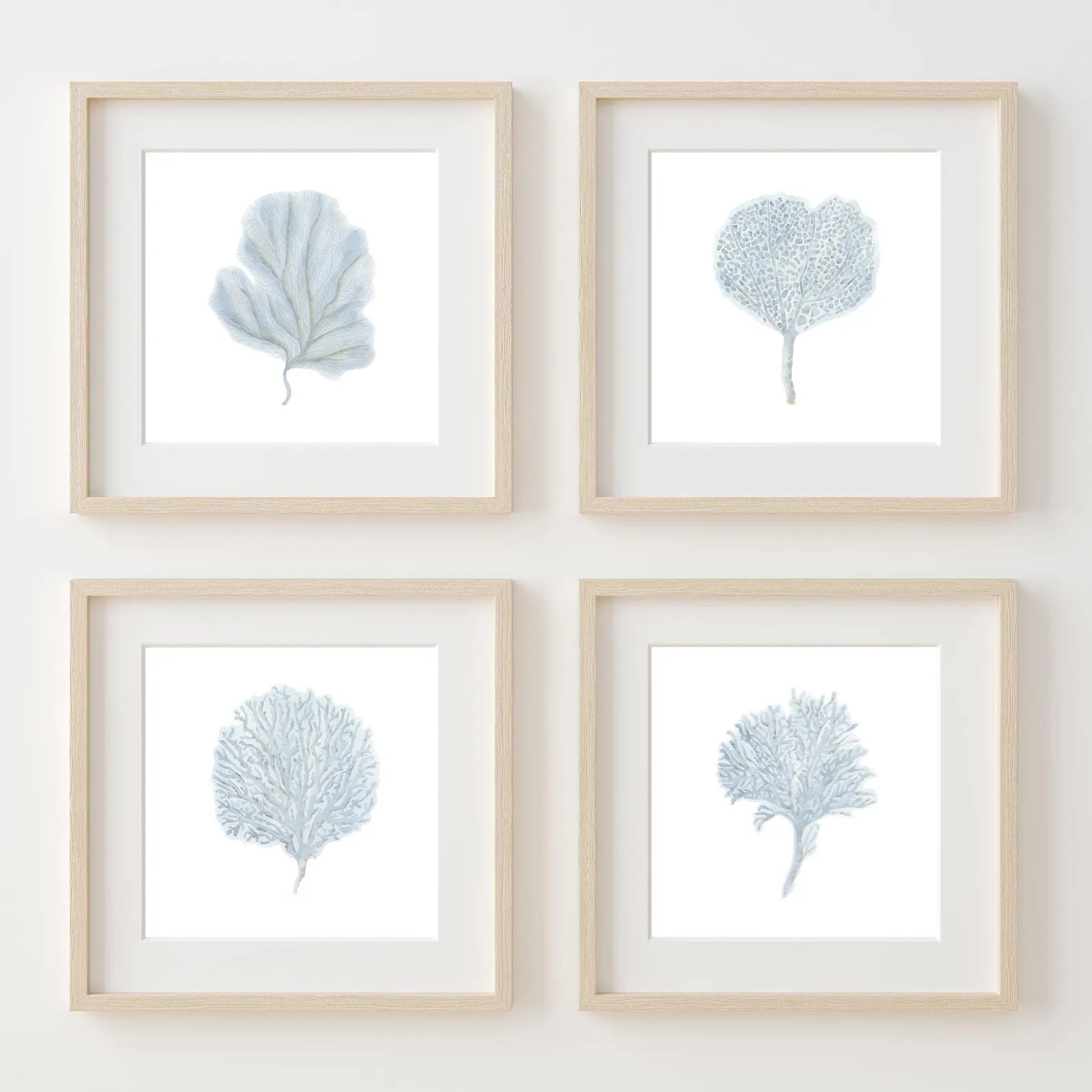 Coastal wall art Light blue wall art Watercolor coral print set 4 Seaweed artwork Beach house dec... | Etsy (US)