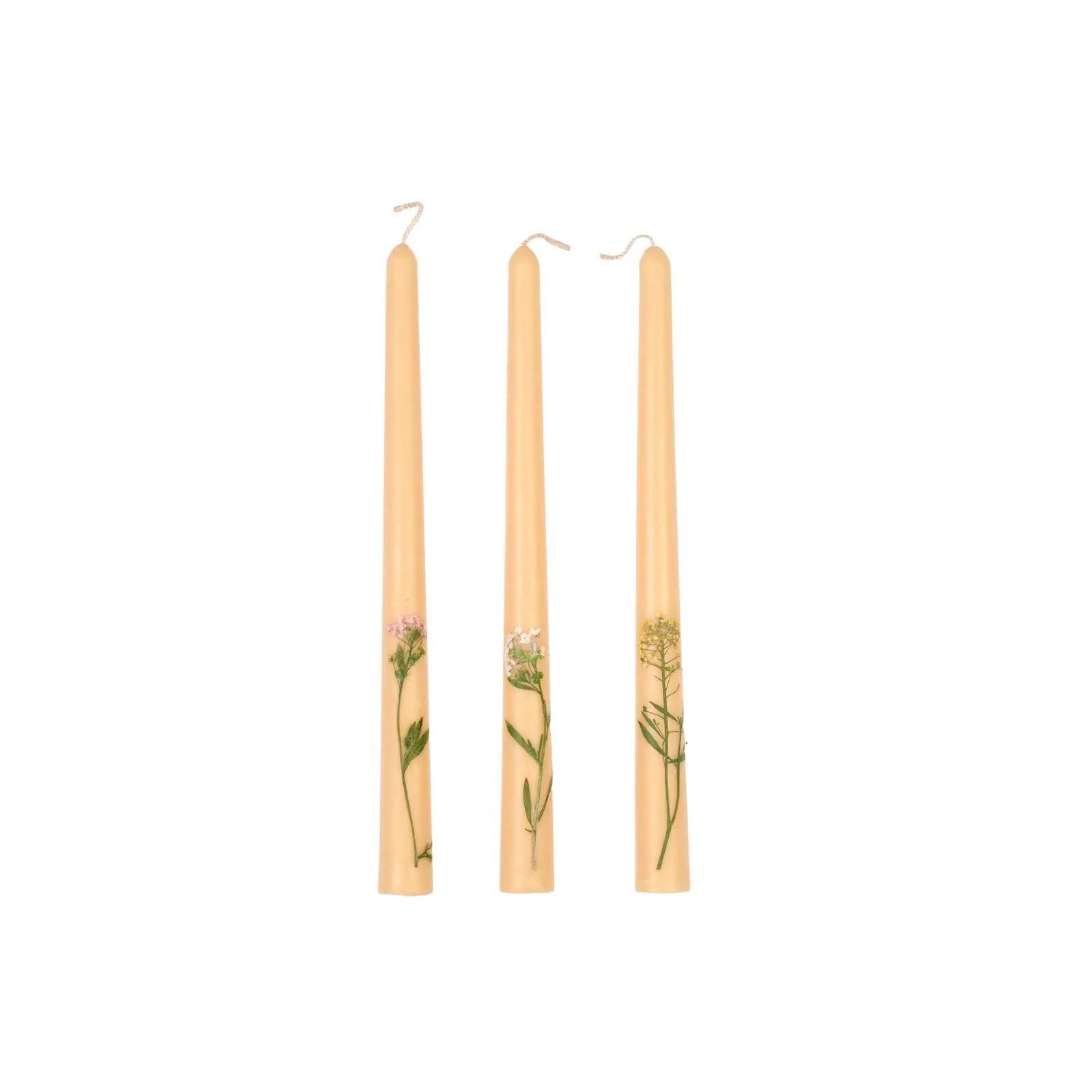 Dried Floral Taper Candles - Set of 3 | Brooke and Lou