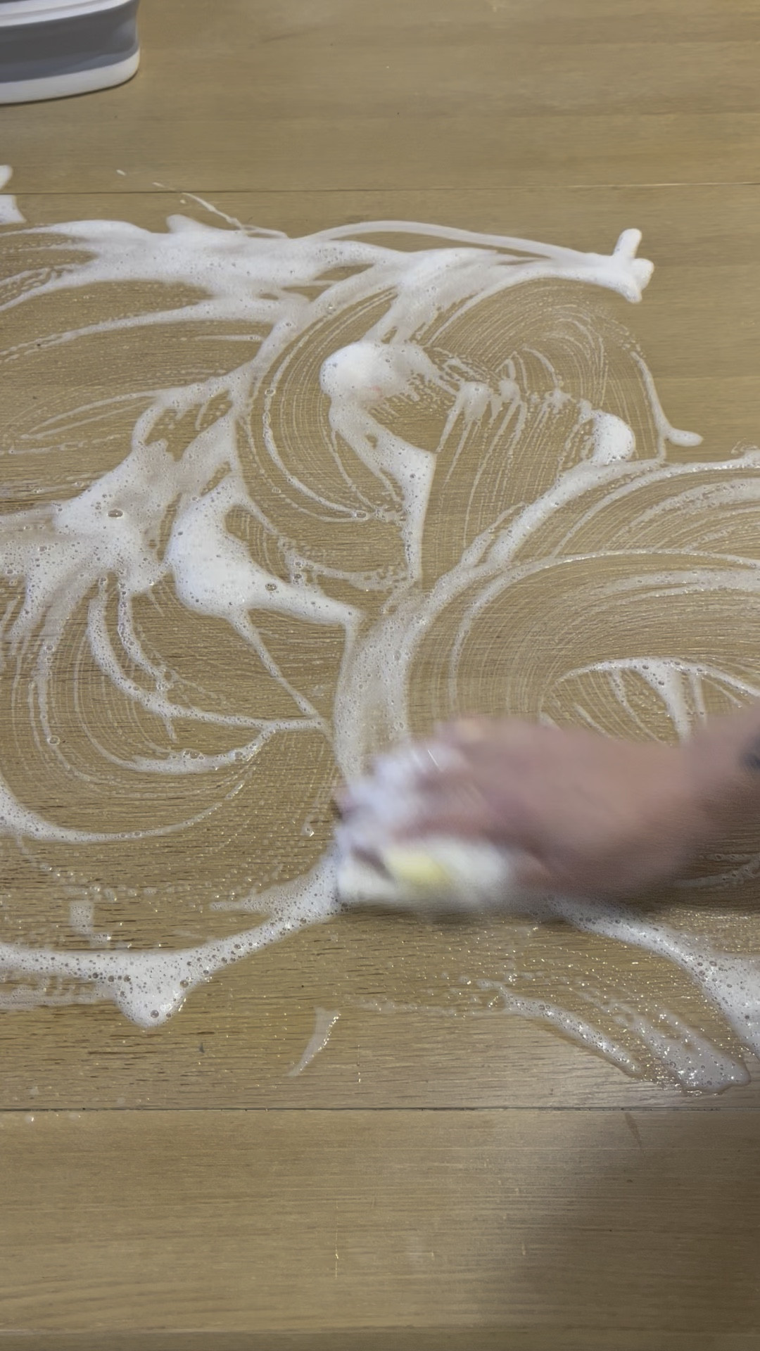 Deep clean cleaning the dining room. Cleaning supplies. Amazon home. Scrub Daddy. 

#LTKHome #LTKFamily