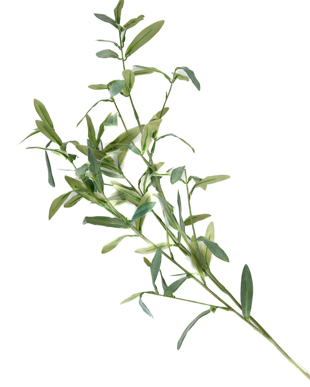 Olive Spray | Elements by Remedy