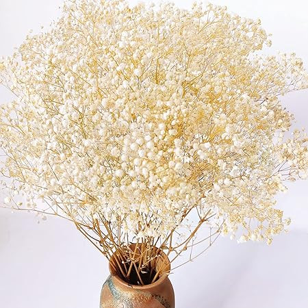 Más de 3000 flores secas de aliento de bebé a granel, ramo de flores blancas marfil de 17.2 pul... | Amazon (US)