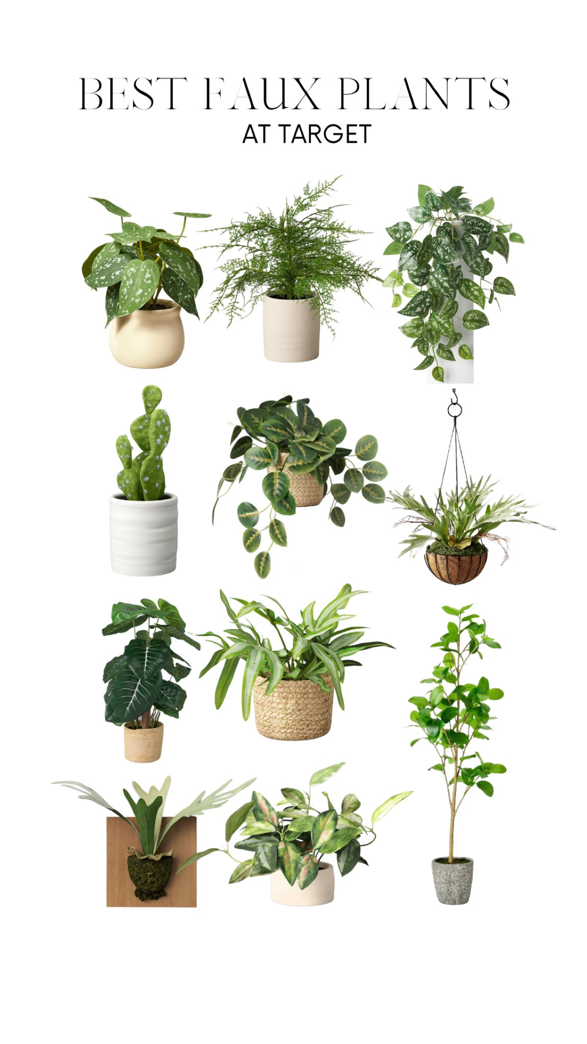 My current favorite faux plants at Target #homedecor #target #targetfinds #fauxplants #houseplants 

#LTKFind #LTKhome #LTKunder100